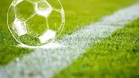 刘佳宇荣膺国际单板滑雪大赛金牌