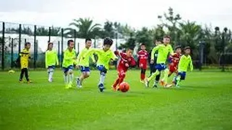 金宝博201bet体育 产品 101040 net